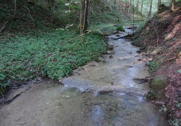 Tocht Te voet Winterthur - Ritplatz - Chämleten - Photo
