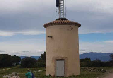 Tocht Stappen Aumelas - Aumelas - le Télégraphe  - Photo