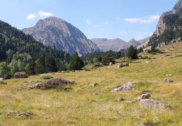 Tour Wandern Fontpédrouse - La Ribérole Prats Balaguer 22_07_3031 - Photo