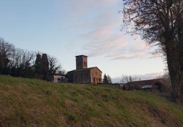 Tocht Stappen Arthémonay - Arthemonay - Photo