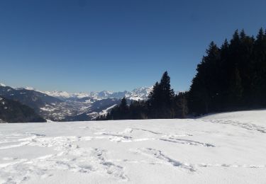 Percorso Racchette da neve Ugine - Hery - Belieuvre - Photo