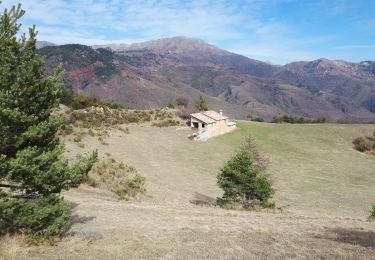 Trail Walking La Croix-sur-Roudoule - Pibossan par Leouve et col de Roua - Photo