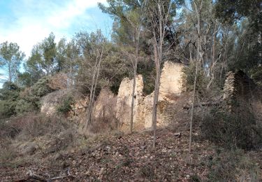 Percorso Marcia Oraison - forêt domaniale des pénitents sud - Photo