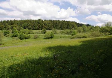 Excursión A pie Schotten - Gipfeltour Schotten - Photo