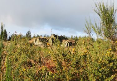 Randonnée Marche Brasparts - circuit du gorre - Photo