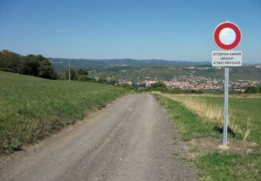 Tocht Te voet Blanzat - Le Site des Côtes - Photo