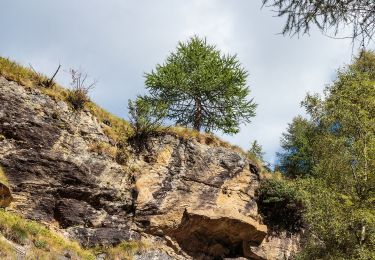 Percorso A piedi Peio - Sentiero della Val Cadini - Photo