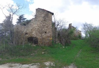 Tocht Te voet Brisighella - Sentiero Frassati A - Photo