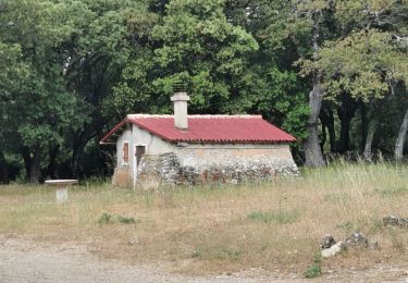 Percorso Marcia Signes - Boucle Chibron - Haut Latay - Photo