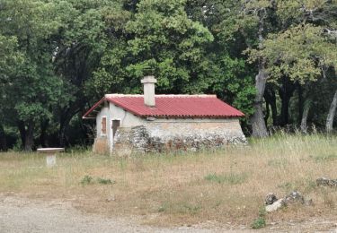 Trail Walking Signes - Boucle Chibron - Haut Latay - Photo