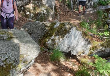 Percorso Marcia Le Valtin - Route des Roches. Schlucht-Hohneck - Photo