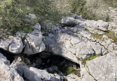 Randonnée Marche Saint-André-de-Cruzières - CHADOUILLET - Photo