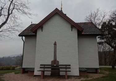 Percorso A piedi  - Weinweg Eckberg/Schafberg - Photo