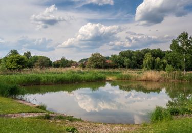 Tour Zu Fuß Lisberg - Rundweg Lisberg L 2 