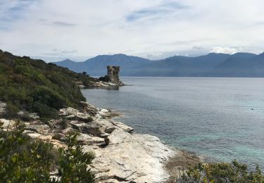 Trail Walking Saint-Florent - Fiume santu -Saleccia - Photo