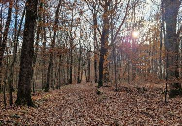 Trail Walking Milon-la-Chapelle - Yvelines_Milon-La-Chapelle=>Circuit_Jean-Racine=>Beauregard - Photo