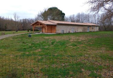 Tour Wandern Le Taillan-Médoc - le  Taillan - Photo