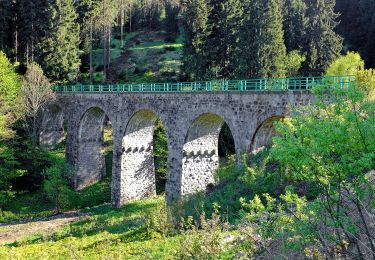 Percorso A piedi Pernink - NS Krušnohornická - Photo