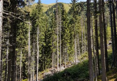 Excursión Senderismo Saint-Gervais-les-Bains - Le Champel, 09 09 2019 - Photo