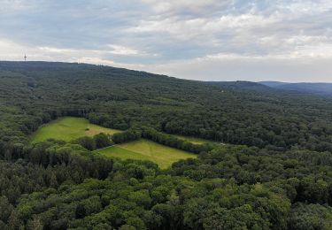 Tour Zu Fuß Unbekannt - DE-WZW - Photo