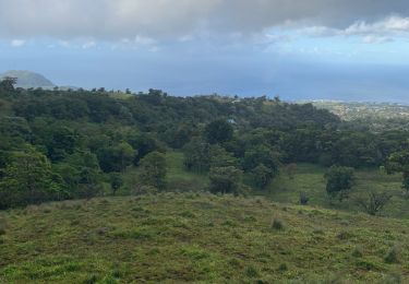 Trail Running Saint-Claude - St Claude  - Photo