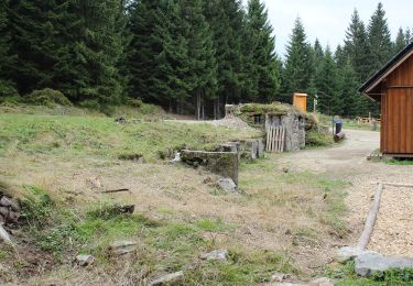 Tour Zu Fuß Friedrichswald - [M] Stammelův kříž - U Knejpy - Photo