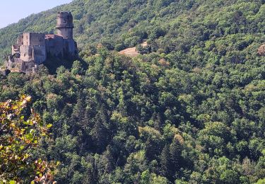 Tour Wandern Enval - Enval circuit Apage Cascades_T - Photo