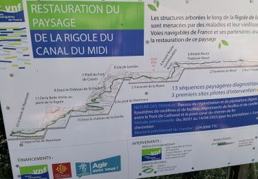 Trail Walking Préserville - 17 juin - Photo