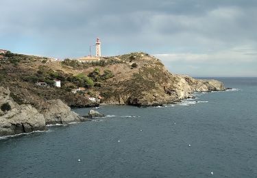 Randonnée Marche Collioure - Collioure Banyuls  - Photo