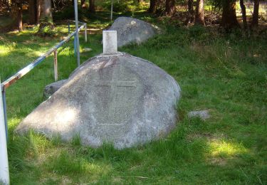 Tocht Te voet Bärnau - Silberhütte - Kopfstein - Photo