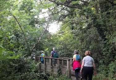 Tour Wandern Piriac-sur-Mer - Piriac sur mer, VVF - Photo