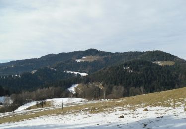 Trail On foot Leutschach an der Weinstraße - Grenzpanoramaweg - Photo