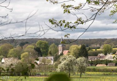 Randonnée Marche L'Hôme-Chamondot - L'Hôme-Chamondot - La Ferté-Vidame 20 km - Photo