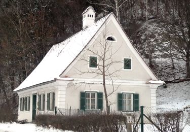 Tour Zu Fuß Arnfels - Arnfels R2 - Photo