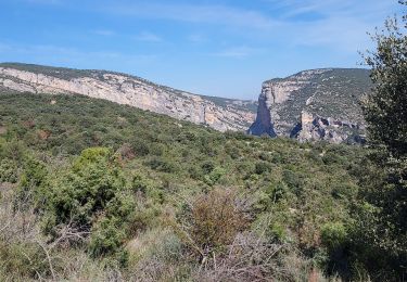 Tocht Stappen Alquézar - Alquezar - Photo