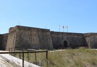 Excursión Senderismo Vila do Conde - Tour du centre de Vila do Conde - Photo