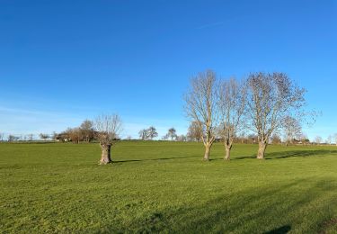 Tocht Stappen Olne - Balade 1 de Olne  - Photo