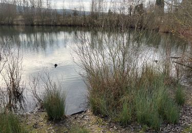 Tour Wandern Amay - La gravière Amay A/R - Photo