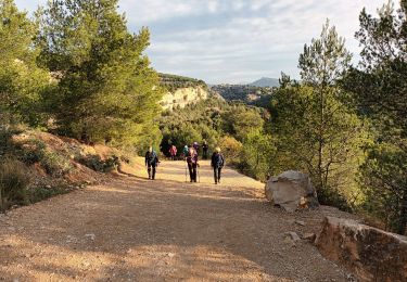 Excursión Senderismo Cassis - La fenêtre-Cassis-17-11-21 - Photo