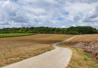 Randonnée Marche Doische - Balade à Matagne-la-Petite - Photo