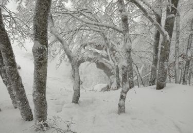 Randonnée Raquettes à neige Léoncel - echaillon 2021 - Photo