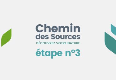 Tocht Stappen Stavelot - Chemin des Sources |ETAPPE 3 STAVELOT – HOCKAI - Photo