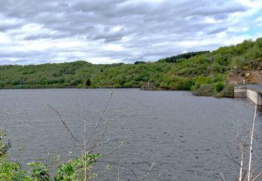 Trail Walking Saint-Hilaire-la-Croix - St_Hilaire_Sep_Morge - Photo