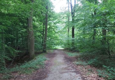 Tour Wandern Houppeville - 20250715 La Breteque Houppeville - Photo