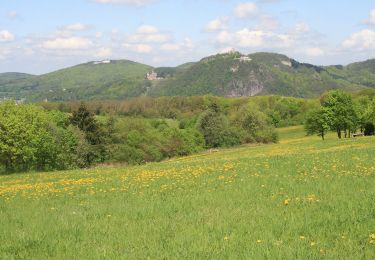 Excursión A pie Remagen - Oberwinter Rundweg 2 - Photo