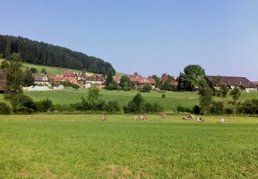 Tocht Te voet Mettmenstetten - Herferswil - Ober Mettmenstetten - Photo