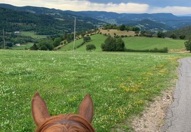 Trail Horseback riding Fraize - Fraize-Orbey - Photo