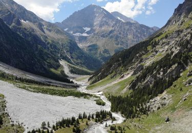 Excursión A pie Kandersteg - Kanderfirn - Heimritz - Photo