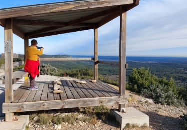 Trail Walking Saint-Bauzille-de-Montmel - Puech des Mourgues - Photo