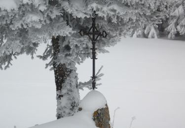 Tocht Te voet Grandrif - Sur la piste du chevreuil - Photo